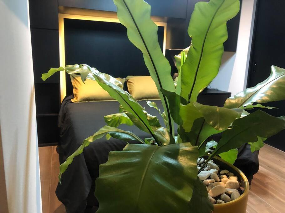 Black Loft. Moderno Y Nuevo, Super Ubicado. Meksyk Zewnętrze zdjęcie